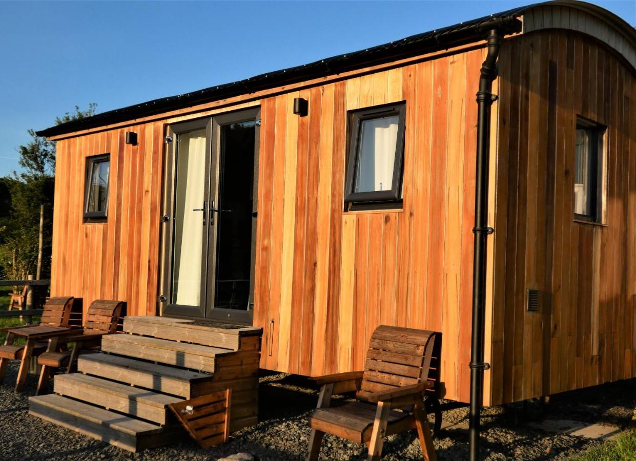 Abergwynant Farm Glamping & Apartments Dolgellau Exterior foto