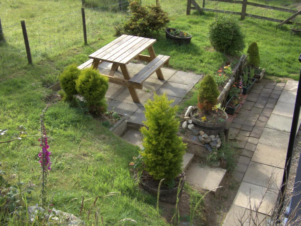 Abergwynant Farm Glamping & Apartments Dolgellau Exterior foto