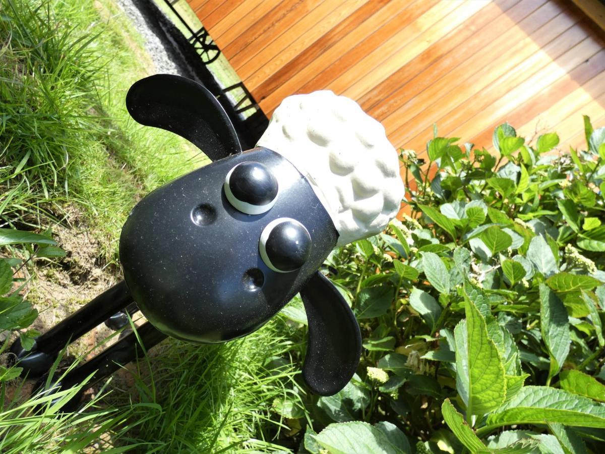 Abergwynant Farm Glamping & Apartments Dolgellau Exterior foto