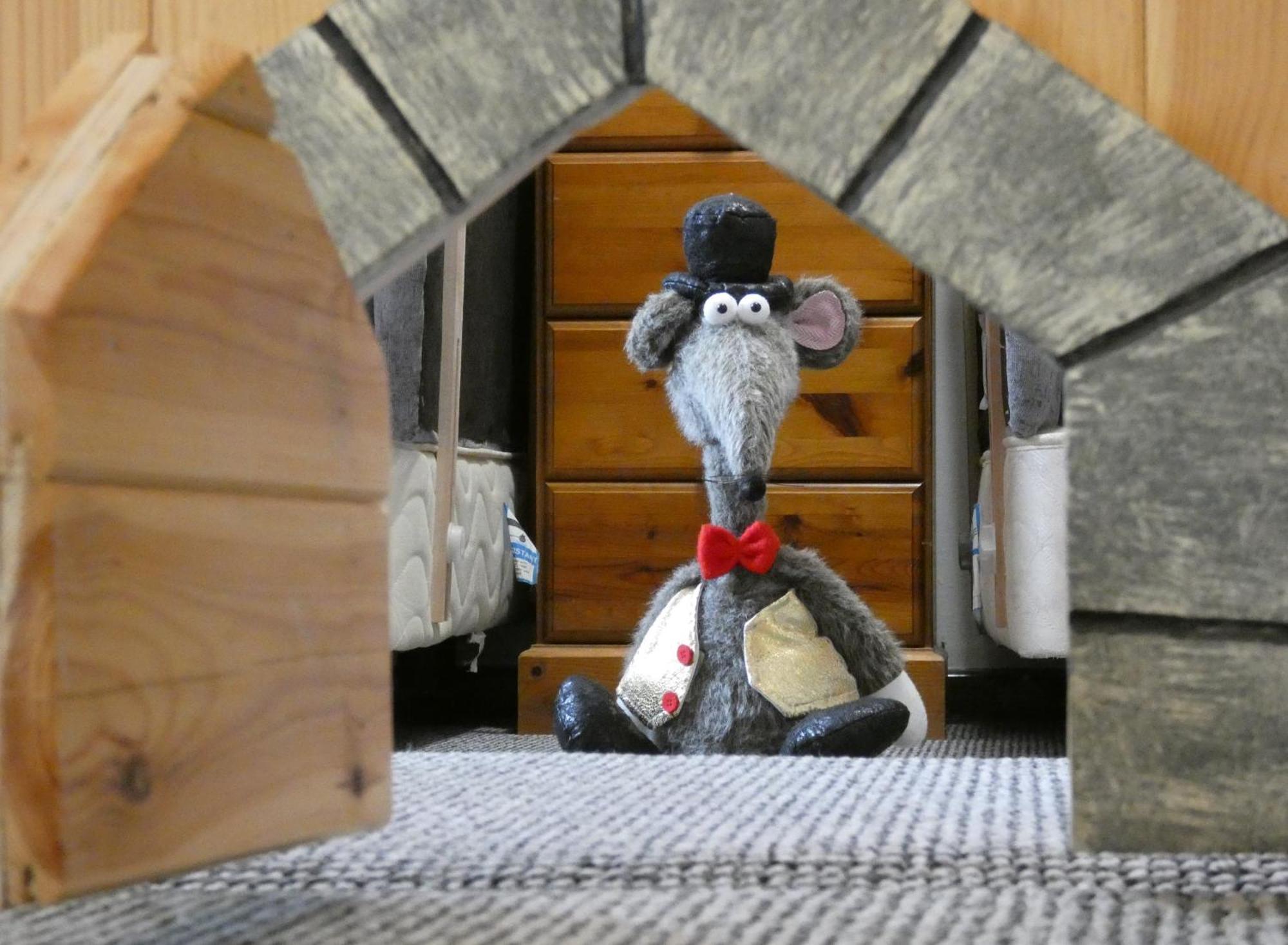 Abergwynant Farm Glamping & Apartments Dolgellau Exterior foto